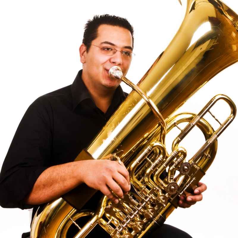 lp image tuba adult